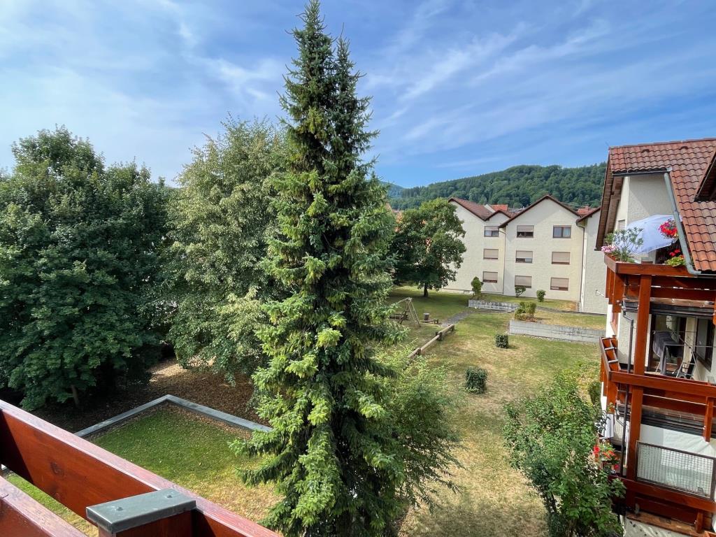 Attraktive Gelegenheit! Interessante 3,5 Zimmer-Wohnung mit sonnigem Balkon! - Balkonaussicht (37607)