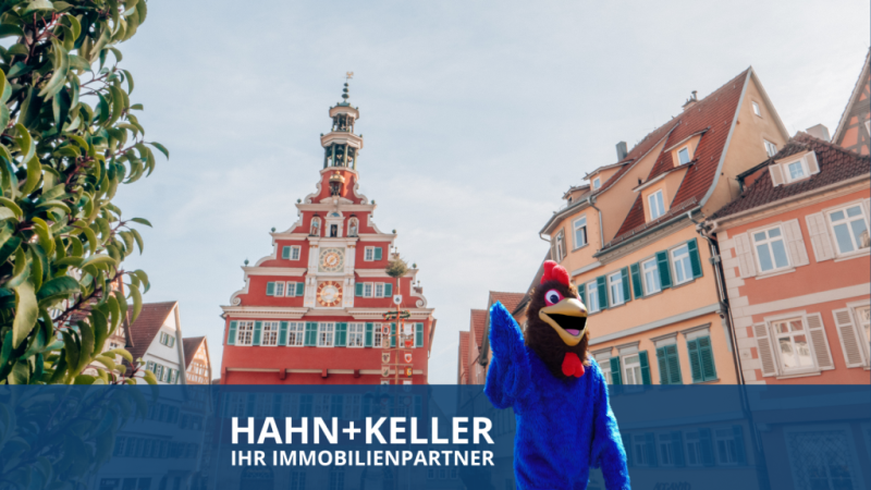 Lassen Sie Ihren Liebling nicht im Regen stehen! Tiefgaragenplatz in ES! - Esslingen am Neckar (50579)