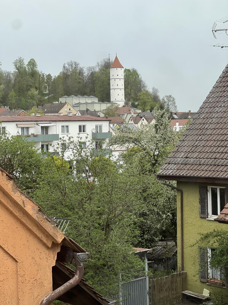 Ansprechende und großzügige 2 1/2 Zimmer-Wohnung im Herzen der Stadt Biberach! - Blick Fenster Küche (36042)
