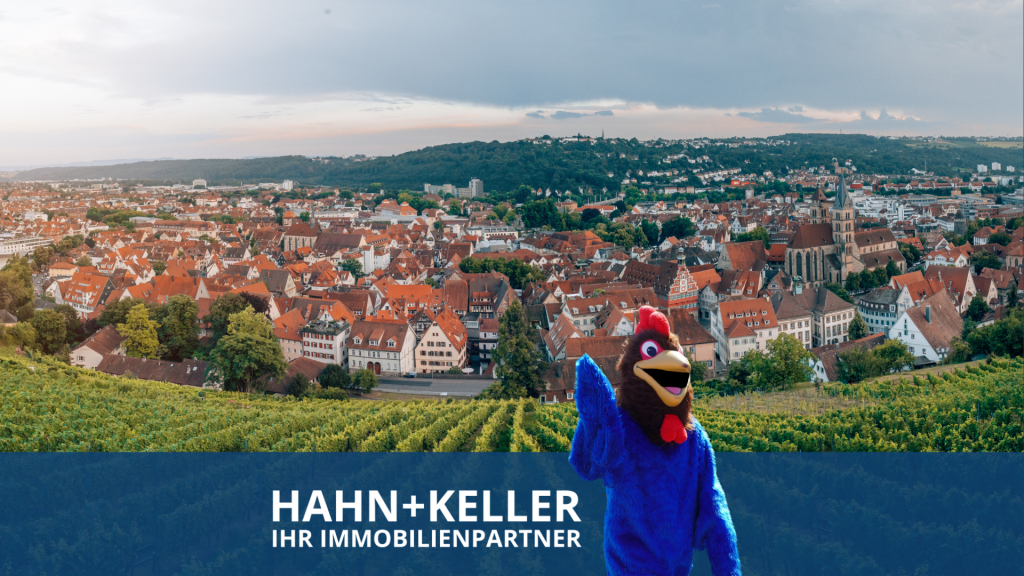 Unikat in bester Stadtlage! 3 Zimmer-Wohnung mit Dachterrasse & perfekten Fernblick! - Esslingen am Neckar (35657)