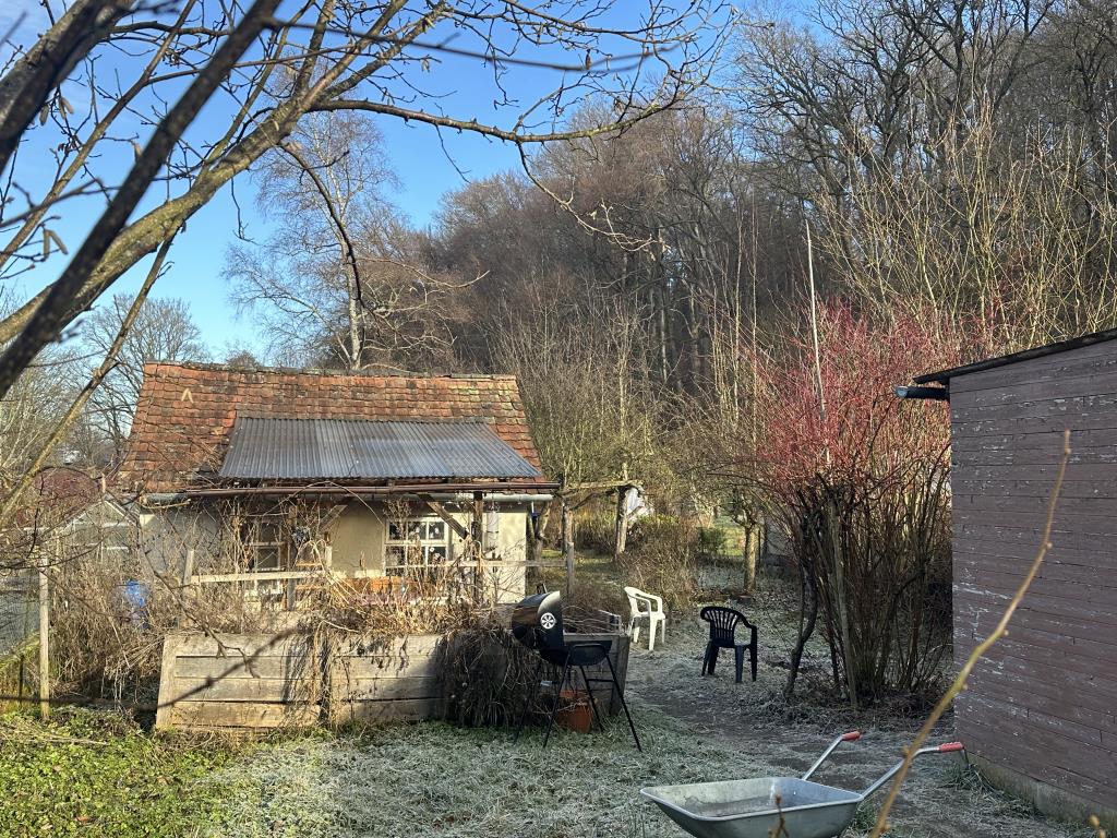 Großzügiges Einfamilienwohnhaus mit 8 Zimmern nahe Boehringer Ingelheim! - Blick Garten (41504)