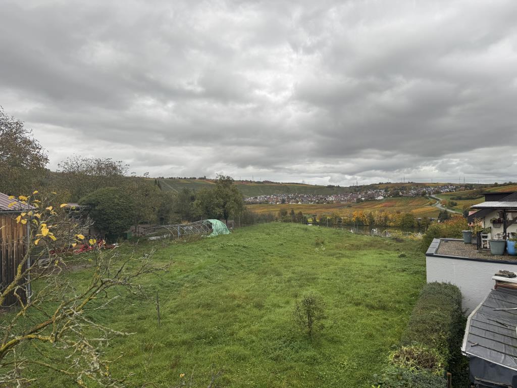 Ihr Familiendomizil! Freistehendes Einfamilienhaus mit Garten in Hessigheim! - Garten (40769)