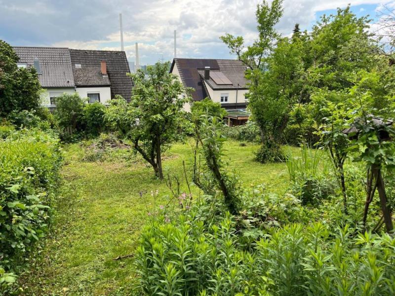 Wohnen im Grünen! Freistehendes Einfamilienhaus mit großem Garten in ruhiger Lage - Garten (50690)