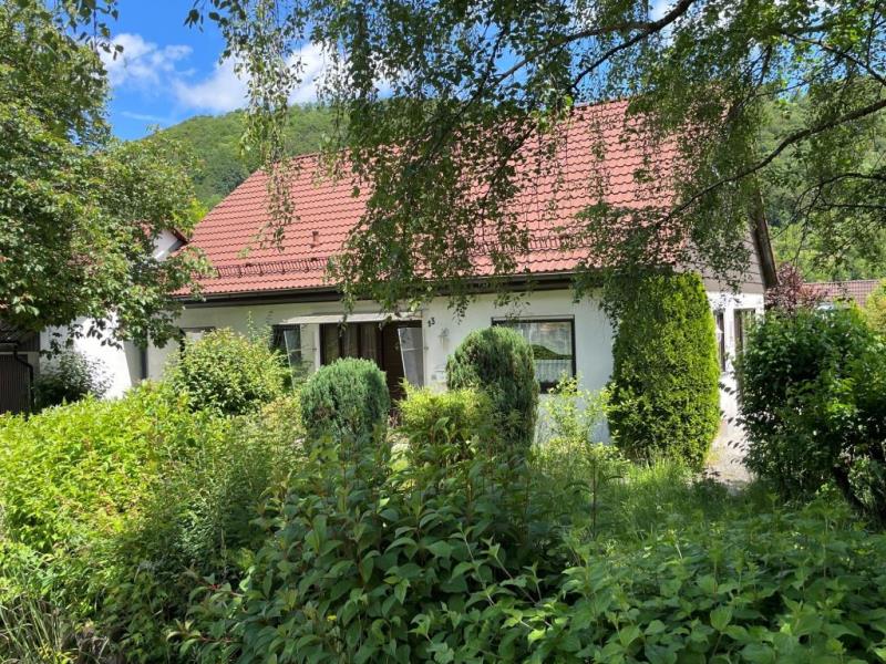 Grüne Oase mit Zuhausegefühl! Charmantes Einfamilienhaus in herrlicher Lage! - Außenansicht (54311)