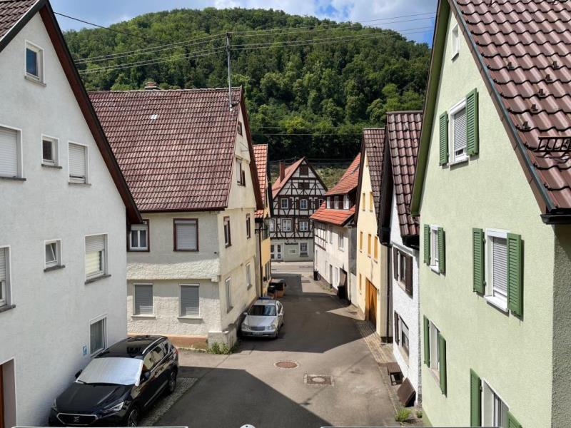 Naturaussicht genießen! Freistehendes Einfamilienhaus in sonniger Wohnlage! - Wohnlage (48954)