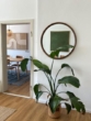 Blick Essbereich - Altbau-Charme mit Marktplatzblick – besondere 3-Zimmer-Wohnung im Obergeschoß!