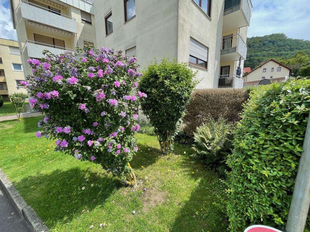 4 Zimmer-Wohnung mit Süd-Terrasse & Garten in attraktiver Wohnlage! - Eingangsbereich (38365)