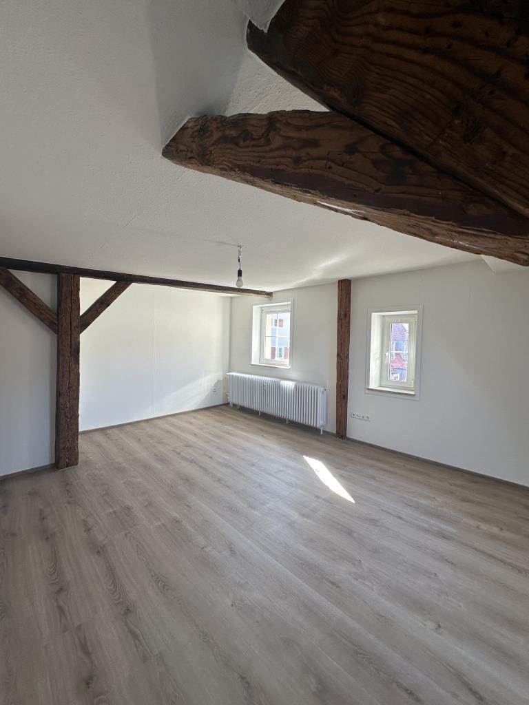 Urbanes Wohnen - 2 Zimmer-Appartement im Herzen der Stadt Biberach! - Blick Wohnen/Essen (43016)