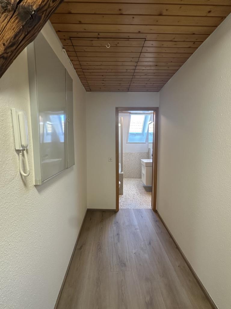 Urbanes Wohnen - 2 Zimmer-Appartement im Herzen der Stadt Biberach! - Blick Flur (43021)