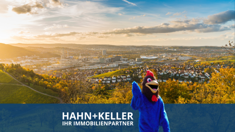 Ideal für Singles & Pendler! Sofort beziehbares tolles 1 Zimmer-Apartment! - Stuttgart (51248)