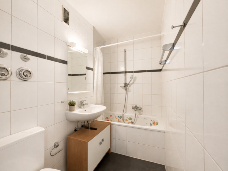 Ideal für Singles & Pendler! Sofort beziehbares tolles 1 Zimmer-Apartment! - Badezimmer (51303)